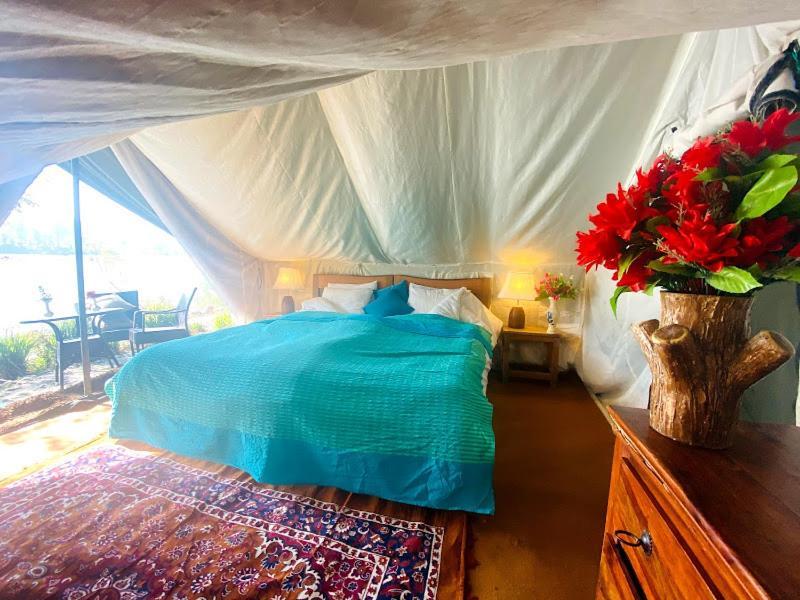 Hotel Lushy Days Boom Camp Tanakpur Exteriér fotografie